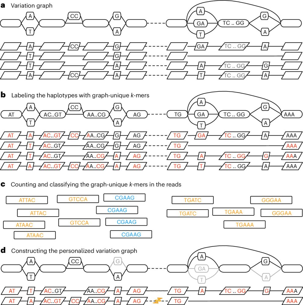 Personalized pangenome references