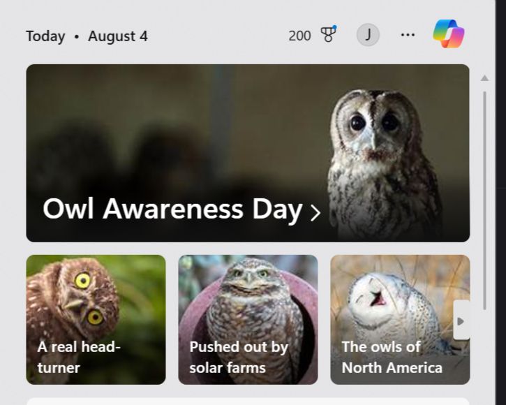 A screenshot of the Windows menu noting that it is Owl Awareness Day. 