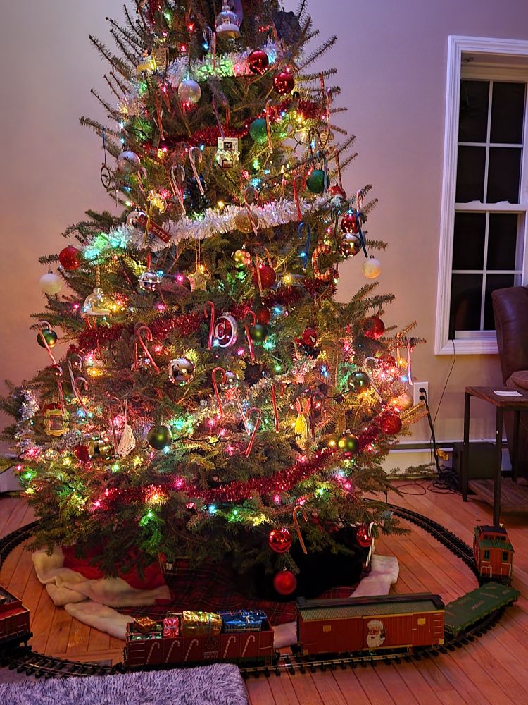 Picture of a decorated Christmas tree with a model train around in, in a home with a window to the right