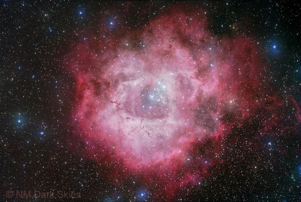 The Rosette Nebula, NGC 2237, is not the only cosmic cloud of gas and dust to evoke the imagery of flowers, but it is probably the most famous. At the edge of a large molecular cloud in Monoceros some 5,000 light years away, the petals of this cosmic rose are actually a stellar nursery. The lovely, symmetric shape is sculpted by the winds and radiation from its central cluster of hot young, O-type stars. Stars in the energetic cluster, cataloged as NGC 2244, are only a few million years young, while the central cavity in the Rosette Nebula, is about 50 light-years in diameter. The nebula can be seen with a small telescope toward the constellation of Monoceros, the Unicorn. This natural appearing telescopic portrait of the Rosette Nebula was made using broadband color filters, but sometimes roses aren't red.