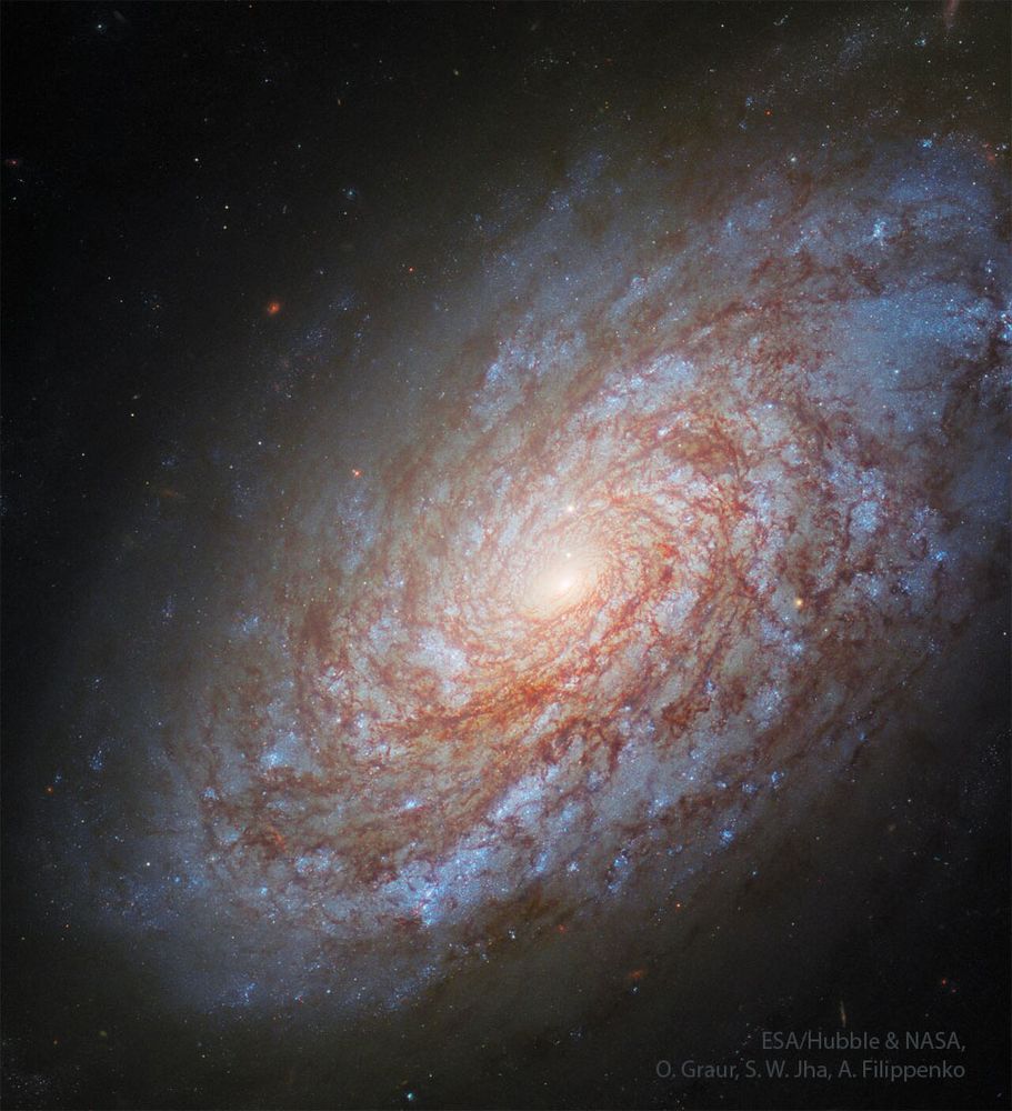 Astronomy Picture of the Day 🪐: 