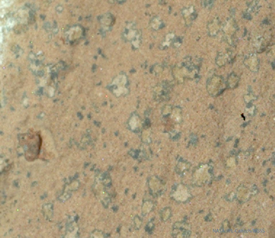 Part of a large rock on Mars is shown being mostly orange. On the rock are several irregular light-colored areas surrounded by a dark border. The spots are only millimeters across but might be a remnant biosignature of ancient Martian life. Please see the explanation for more detailed information.