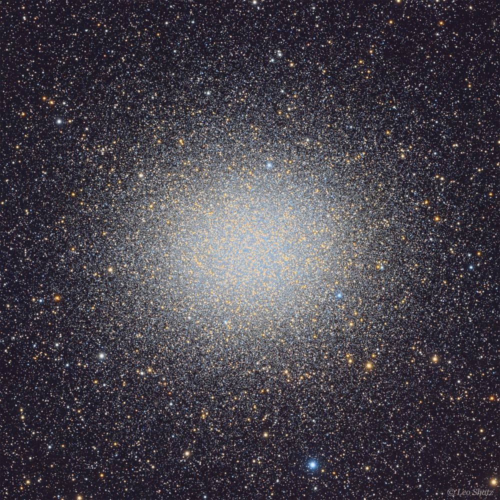 Globular star cluster Omega Centauri packs about 10 million stars much older than the Sun into a volume some 150 light-years in diameter. Also known as NGC 5139, at a distance of 15,000 light-years it's the largest and brightest of 200 or so known globular clusters that roam the halo of our Milky Way galaxy. Though most star clusters consist of stars with the same age and composition, the enigmatic Omega Cen exhibits the presence of different stellar populations with a spread of ages and chemical abundances. In fact, Omega Cen may be the remnant core of a small galaxy merging with the Milky Way. With a yellowish hue, Omega Centauri's red giant stars are easy to pick out in this sharp telescopic view. A two-decade-long exploration of the dense star cluster with the Hubble Space Telescope has revealed evidence for a massive black hole near the center of Omega Centauri.