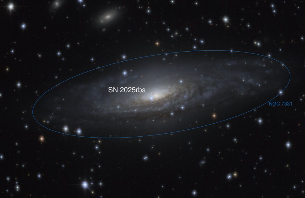 A long time ago in a galaxy 50 million light-years away, a star exploded. Light from that supernova was first detected by telescopes on planet Earth on July 14th though, and the extragalactic transient is now known to astronomers as supernova 2025rbs. Presently the brightest supernova in planet Earth's sky, 2025rbs is a Type Ia supernova, likely caused by the thermonuclear detonation of a white dwarf star that accreted material from a companion in a binary star system. Type Ia supernovae are used as standard candles to establish the distance scale of the universe. The host galaxy of 2025rbs is NGC 7331. Itself a bright spiral galaxy in the northern constellation Pegasus, NGC 7331 is often touted as an analog to our own Milky Way.