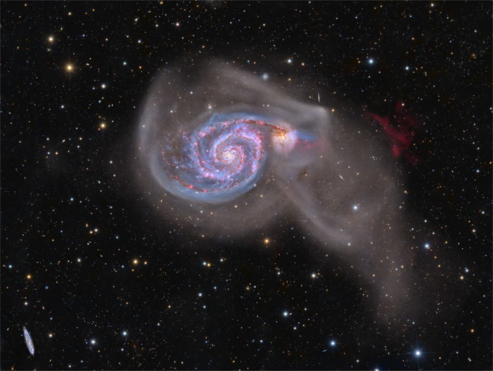 An intriguing pair of interacting galaxies, M51 is the 51st entry in Charles Messier's famous catalog. Perhaps the original spiral nebula, the large galaxy with whirlpool-like spiral structure seen nearly face-on is also cataloged as NGC 5194. Its spiral arms and dust lanes sweep in front of a companion galaxy (right), NGC 5195. Some 31 million light-years distant, within the boundaries of the well-trained constellation Canes Venatici, M51 looks faint and fuzzy to the eye in direct telescopic views. But this remarkably deep image shows off stunning details of the galaxy pair's striking colors and extensive tidal debris. A collaboration of astro-imagers using telescopes on planet Earth combined over 10 days of exposure time to create this definitive galaxy portrait of M51. The image includes 118 hours of narrowband data that also reveals a vast glowing cloud of reddish ionized hydrogen gas discovered in the M51 system.  Weekend Watch: Perseid Meteor Shower