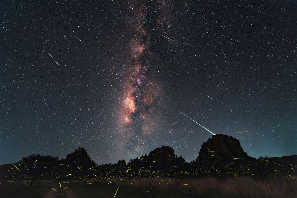 Taken on July 29 and July 30, a registered and stacked series of exposures creates this dreamlike view of a northern summer night. Multiple firefly flashes streak across the foreground as the luminous Milky Way arcs above the horizon in the Sierra de Órganos national park of central Mexico, The collection of bright streaks aligned across the sky toward the upper left in the timelapse image are Delta Aquariid meteors. Currently active, the annual Delta Aquarid meteor shower shares August nights though, overlapping with the better-known Perseid meteor shower. This year that makes post-midnight, mostly moonless skies in early August very popular with late night skygazers. How can you tell a Delta Aquariid from a Perseid meteor? The streaks of Perseid meteors can be traced back to an apparent radiant in the constellation Perseus. Delta Aquariids appear to emerge from the more southerly constellation Aquarius, beyond the top left of this frame. Of course, the bioluminescent flashes of fireflies are common too on these northern summer nights. But how can you tell a firefly from a meteor? Just try to catch one.