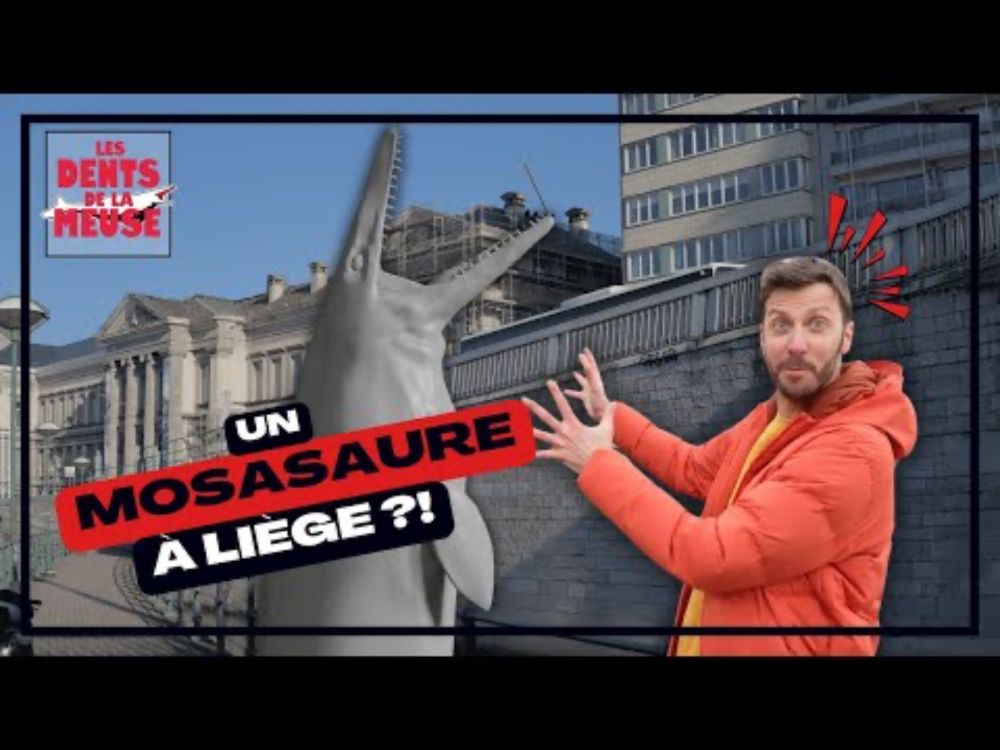 Les Dents de la Meuse : une sculpture monumentale à Liège !
