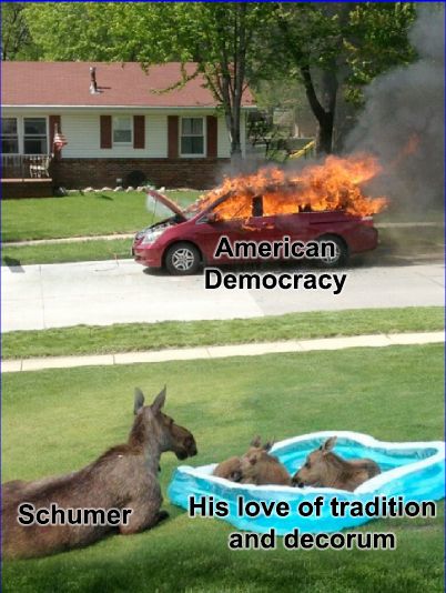 In the foreground an adult kangaroo is lounging on the lawn of a suburban neighborhood, looking unconcerned toward a baby pool that contains two baby kangaroos. In the background. across a small street, is a red four-door car with its hood open. The car is engulfed in flames.

The kangaoo is labeled "Schumer". The baby kangaroos are labeled "His love of tradition and decorum". The car is labeled "American Democracy"