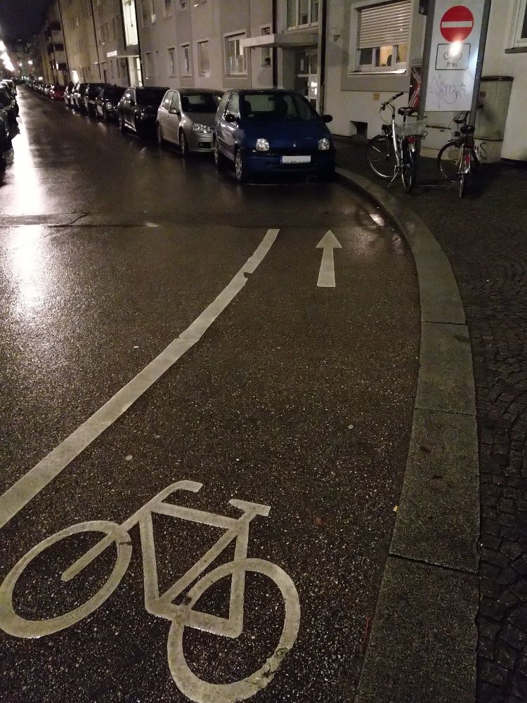 Nächtliche Szene in einer Straße mit Wohngebäuden, eine Einbahnstraße mit Parkstreifen an beiden Seiten der Fahrbahn: Rechts am Rand ein Kombi-Straßenschild weist mit roten Einfahrtverbot und dem Zeichen 
