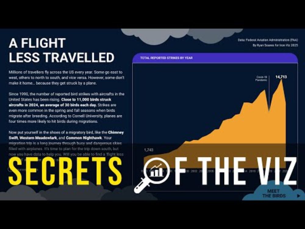 Epi 64 Iron Viz Special : A Flight Less Travelled