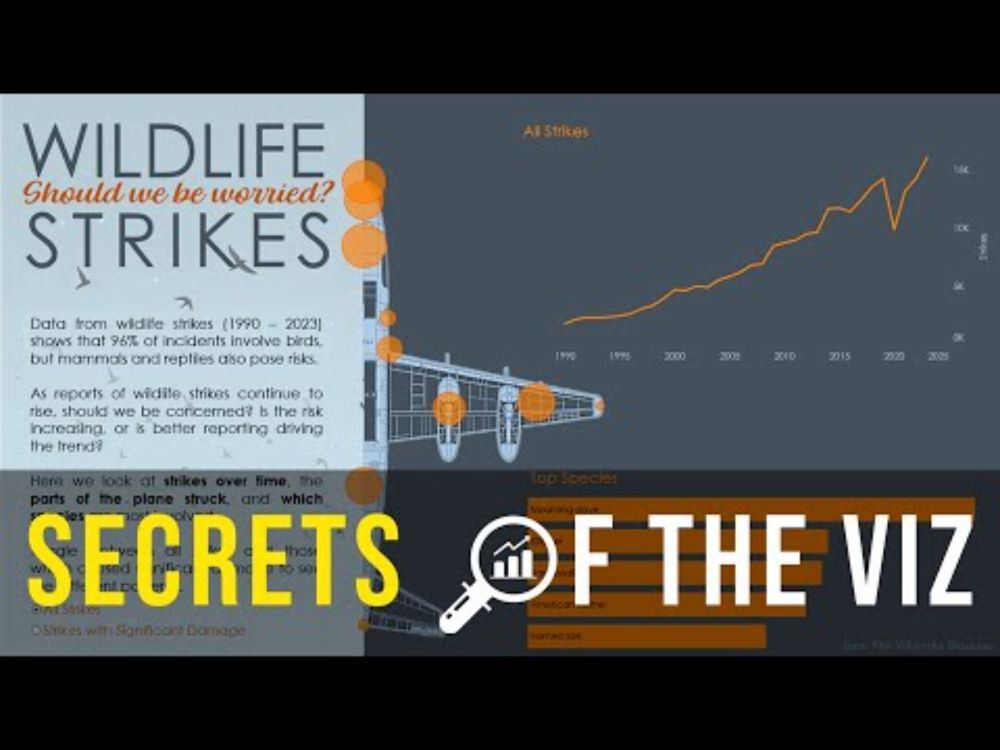 Epi 62 Iron Viz Special : Wildlife Strikes