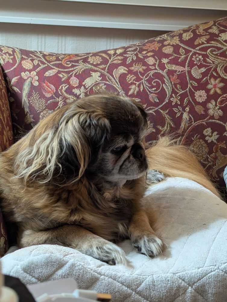 Mario waking from a nap
