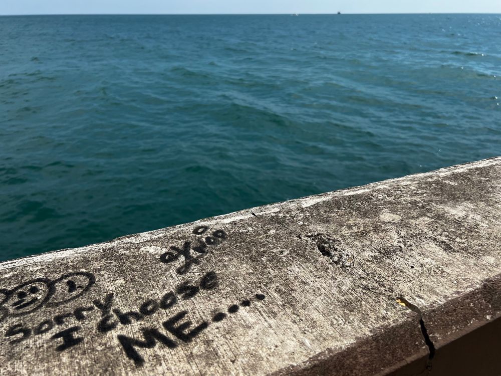 graffiti on the montrose pier barrier that says the text of the post, and the lake