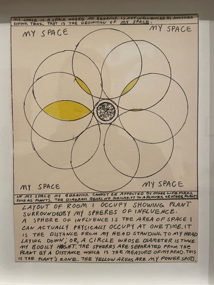 An artwork by Mike Kelly showing a series of overlapping circles with a smaller and denser circle in the centre. The centre circle is a plant and this is a diagram of “spheres of influence” correlated with Kelly’s height. 