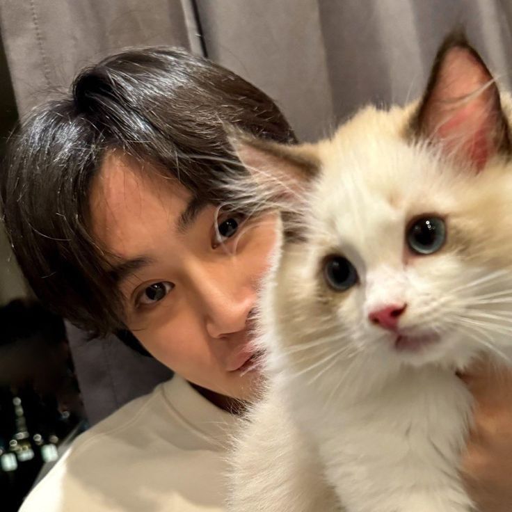 Menino bonito tailandês e sua gata fofinha (branca das orelhas marrons)