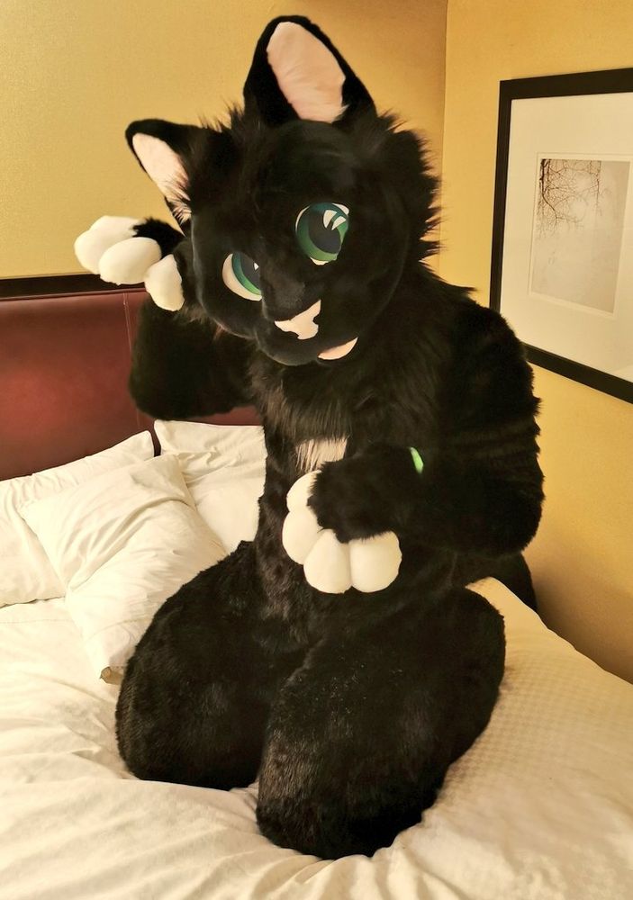 Stratos the black cat fursuit sitting on a bed cleaning his fur. The fursuit has large green eyes, a pink nose, and white paws. The person is sitting on a white bed with white pillows.
