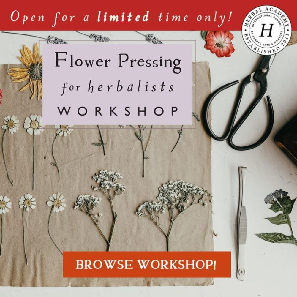 Master the Art of Flower Pressing for Herbalists