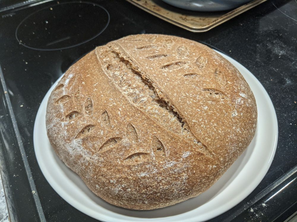 the completed loaf. the scores expanded a bit showing the wheat scoring. the loaf is pretty flat, though. there's room for improvement! 