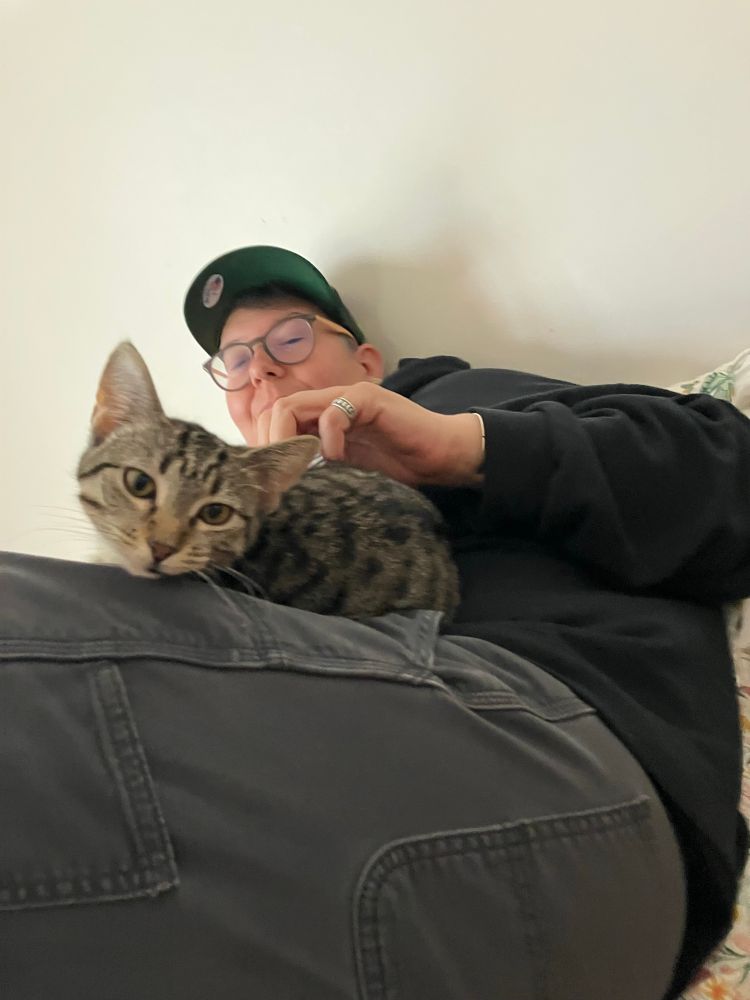 Butch dyke cuddles tabby kitten with gold eyes 
