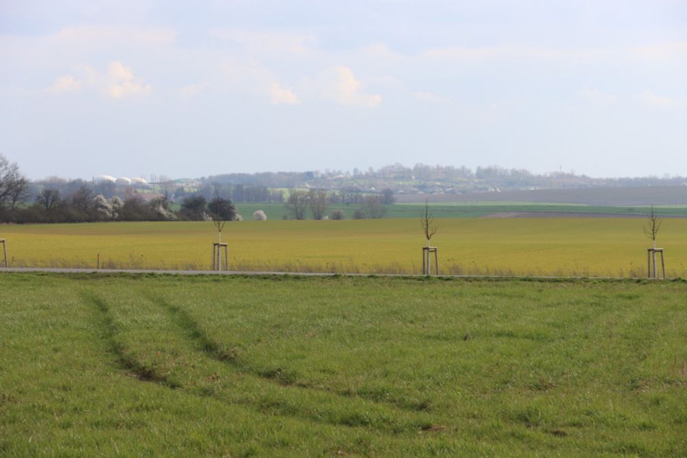 Nachdenken über … das populistische Ablenkungsthema Migration · Leipziger Zeitung