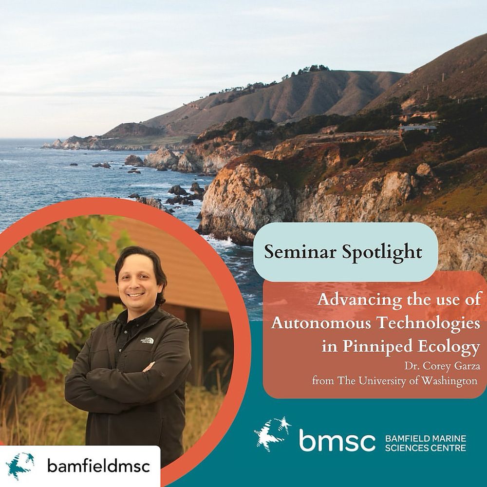 Flyer for my Wednesday seminar at the Bamfield Marine Sciences Centre on using drones to study pinnipeds. 