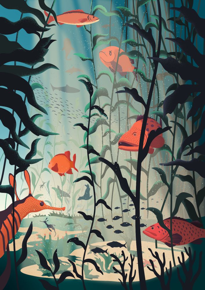 An illustration featuring a kelp forest full of tropical fish.