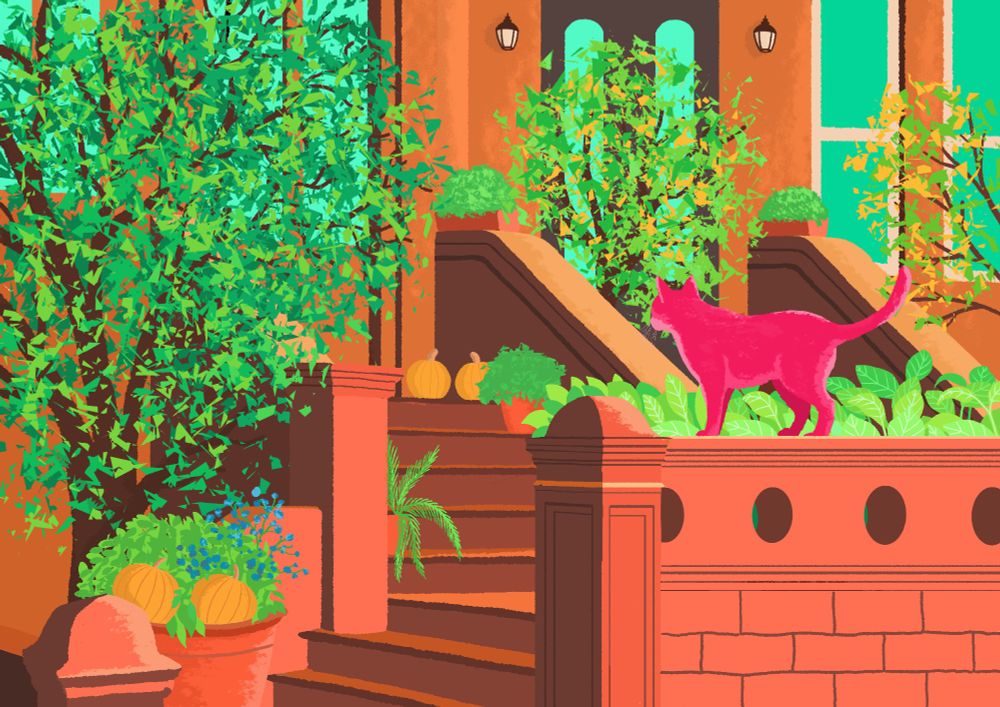 A cat hanging out in a posh New York neighborhood