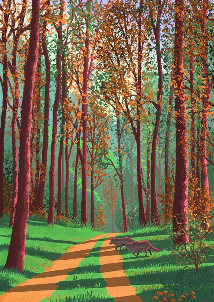 An illustration featuring two wolves crossing the forest road.