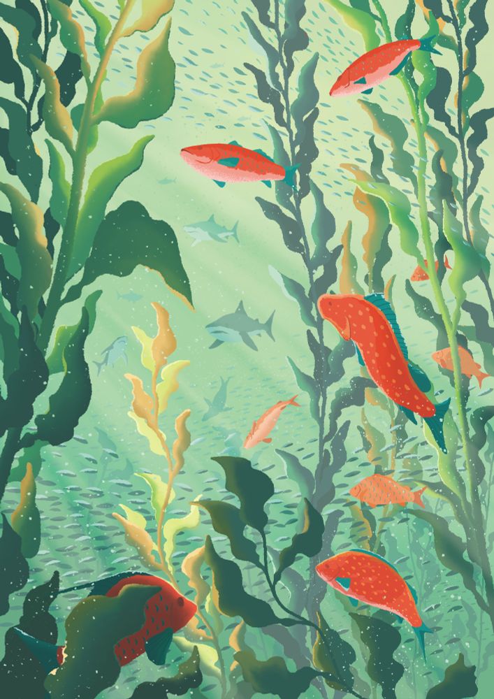 A kelp forest full of marine animals including coral fishes and sharks.