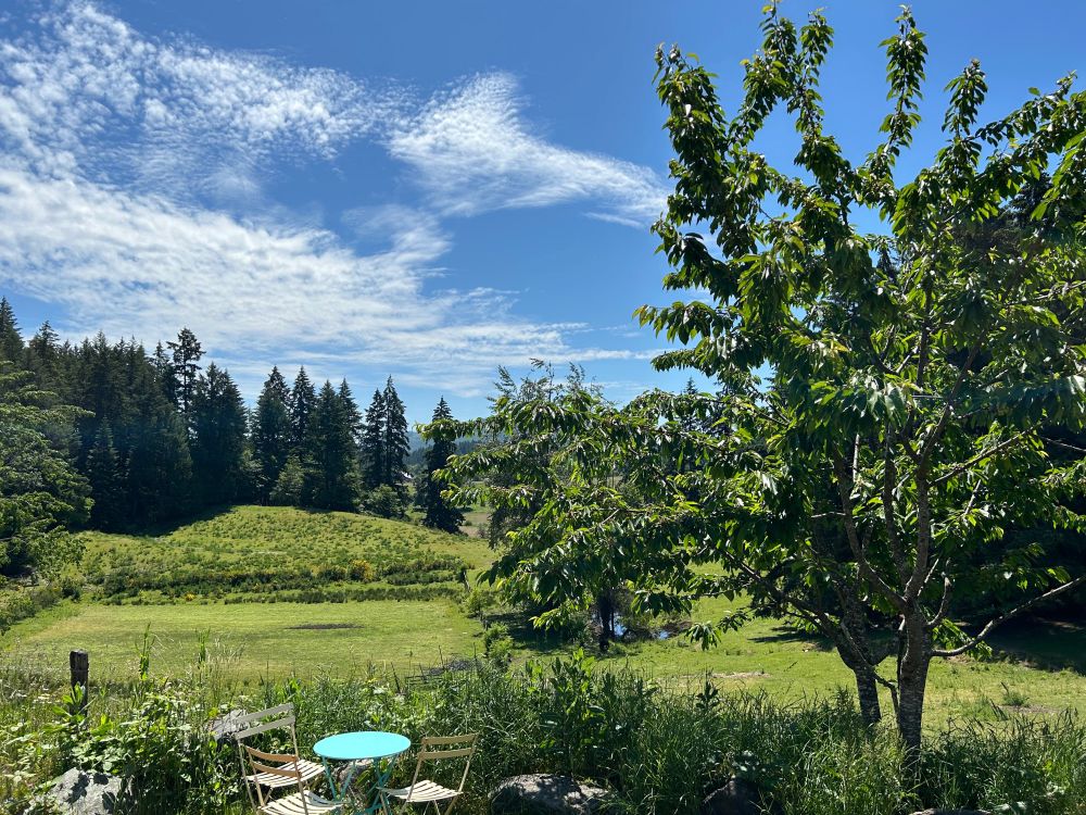 A scenic photo of a small table with two chairs behind which are rolling grassy hills and green trees. The sky is blue with a few white clouds. 