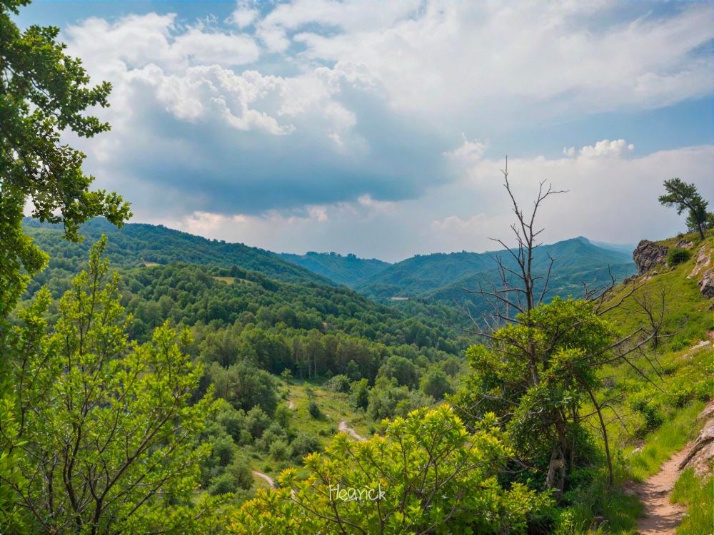 Paysage montagneux verdoyant sous un ciel partiellement nuageux, avec des collines couvertes d'arbres et de buissons, un chemin de randonnée serpentant à travers la végétation, et des montagnes en arrière-plan.