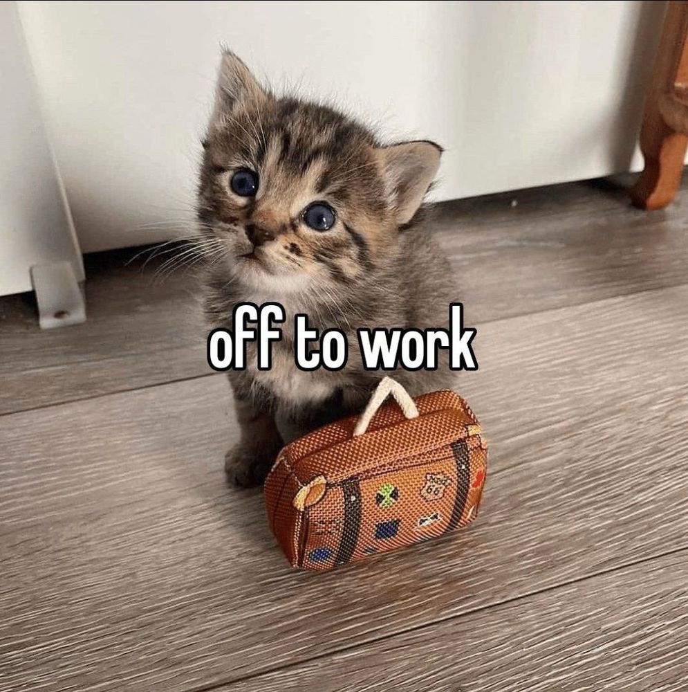 Small kitty cat with small briefcase. Text reads  “off to work”