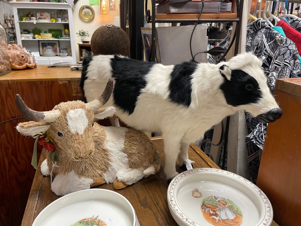 Cow figurines - one laying under the other, white with brown spots and white with black spots