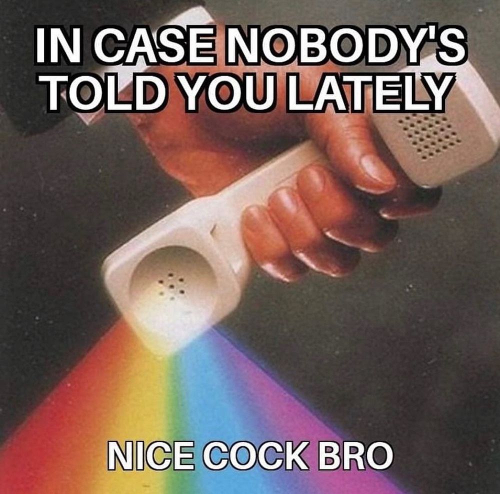 Meme of a hand holding an old phone handset with words above that say, “in case nobody’s told you lately.” There is a rainbow coming out of the phone with words on it that say, “nice cock bro”