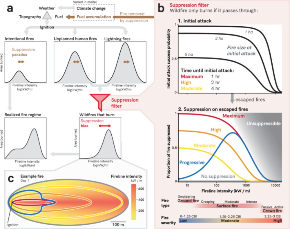 Fire suppression makes wildfires more severe and accentuates impacts of climate change and fuel accumulation - Nature Communications