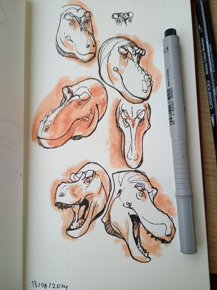 A bunch of Tyrannosaurus headshots drawn in a sketchbook with a black pen and shaded with a marker