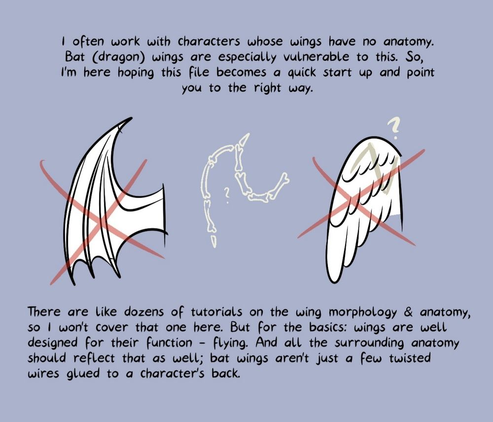 The image shows oversimplified and idealised wings. Great for some fantasy settings but the bone structure is totally awry.