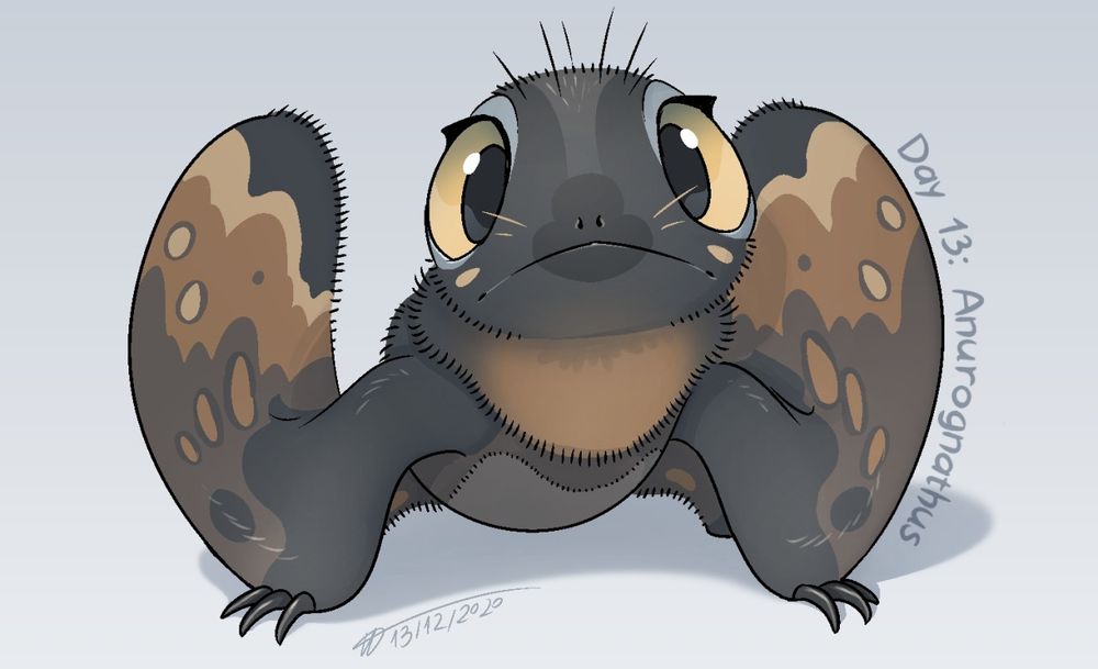 A stylised drawing of the Anurognathus.