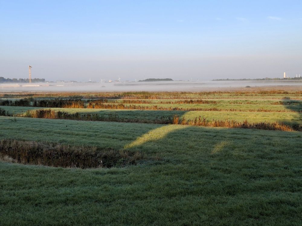Grüne Kulturlandschaft am Morgen bei Sonnenschein. Frühnebel über der Fläche. Die JVA ist kaum sichtbar.