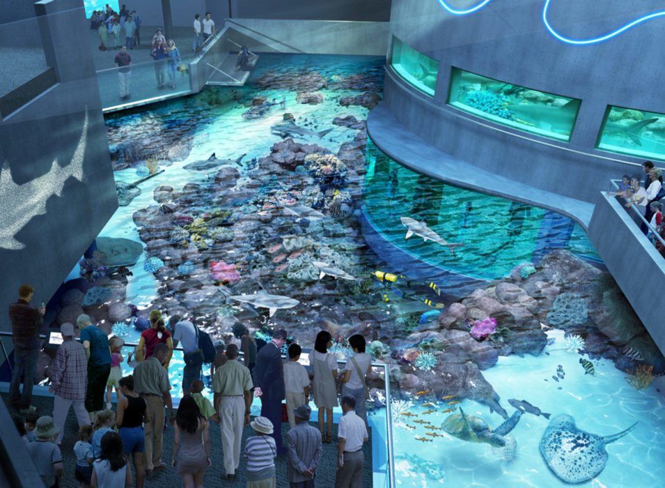 Photograph of people looking down at a wide curving pool filled with rocks and colorful fishes. A large neon wave-shaped light tints everyting in the room blue and turquoise. A fish is being projected onto the wall behind them. The whole room curves and bends smoothly like water.  