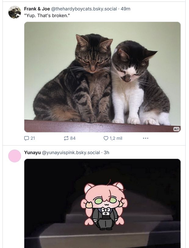 Comment image