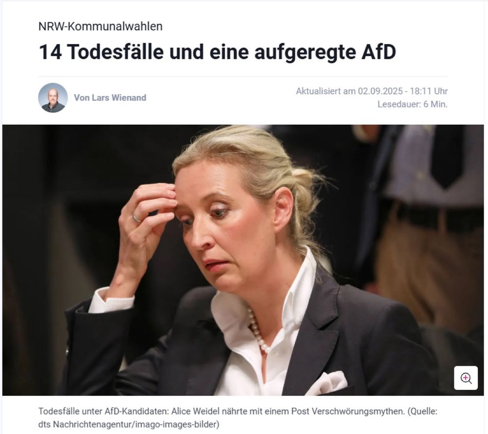 Screenshot Artikel, „14 Todesfälle und eine aufgeregte AfD“