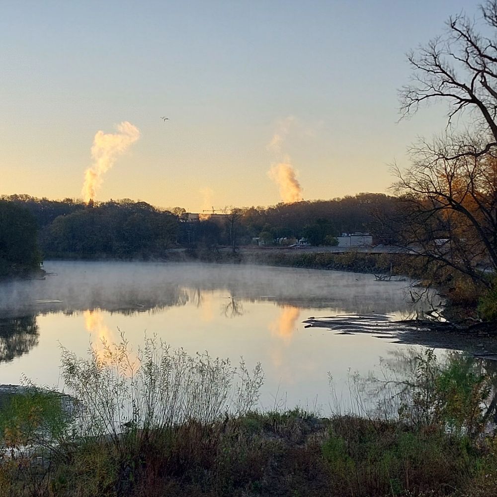 Looking down on a river clear in the foreground nut covered with mist in the background. To the right branches of a large tree. Beyond the river the silouwetted tree covered bank. 
