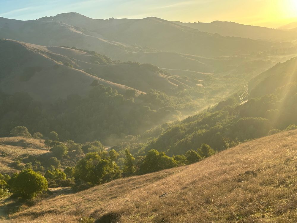 Glowing mist in a wooded valley below the dry grass hilltop where I’m standing. 