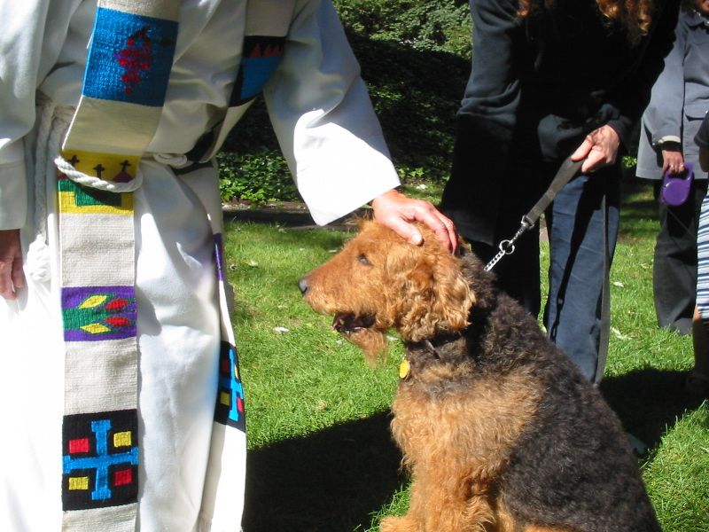 Person in colourful clerical robes places their hand on the head of a seated, large, shaggy Airedale terrier while I stand behind, holding the lead very close and tightly. 
