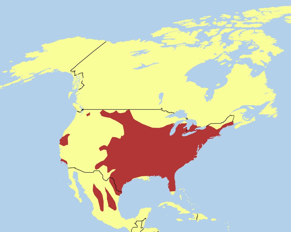 The Distribution of the Wild Turkey with National Borders added

By Nrg800 - Own work, CC BY-SA 3.0, https://commons.wikimedia.org/w/index.php?curid=10588975