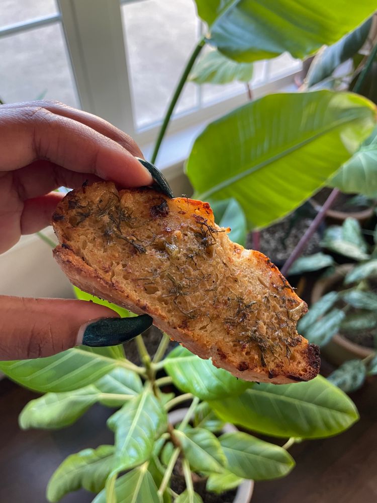 A piece of toasted homemade bread in an oval shape with a garlic lemon dill butter on top. A variety of houseplants are shown in the background.