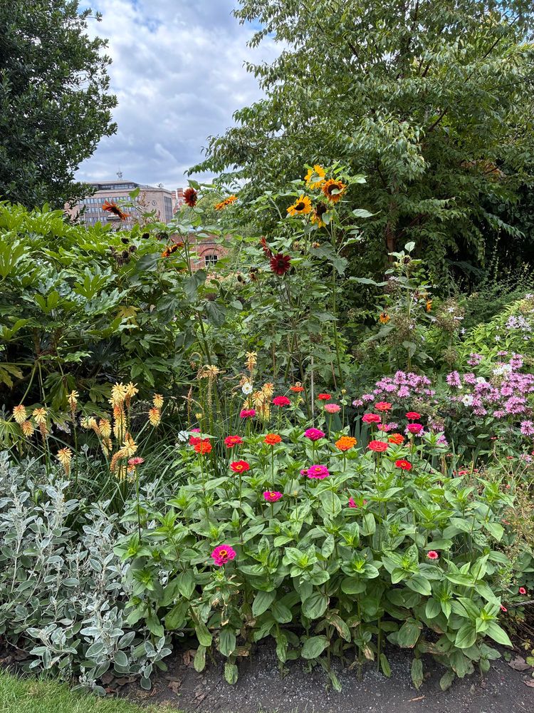 Farbenprächtige Blumen fotografiert im kleinen Garten hinter dem Yorker Minster. 