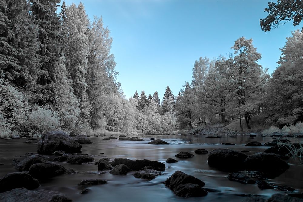 Matala joki keskellä kuvaa ja ympärillä valkoisia puita