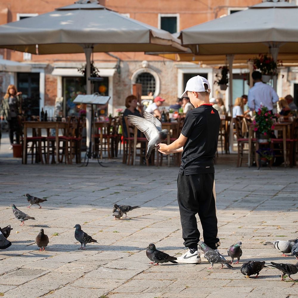 Poika ruokkimassa lintuja kädestä Campo Santa Margheritalla